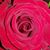 Lynn Roberts Floyd's profile image