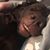 Austin Hagen's profile image