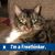Mette Kelley's profile image