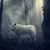 Lonewolf Sees's profile image