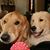 Renae Hesselink's profile image
