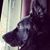 Nissa Christine's profile image