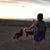 Cj Elizabeth Werner's profile image