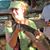 Judy Kniep's profile image