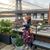 Marta Jurczak Singer's profile image
