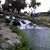 Chaparra Mares's profile image
