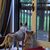 Brenda Seggerman's profile image