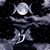 Shannon Audette's profile image