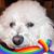 Linda Lane Vandenakker's profile image