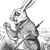 Steve Wohlford's profile image