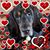 Katie Siemer's profile image