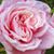 Debra Lynn Pritchett's profile image