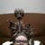 Aileen Rude's profile image