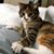 Tim Rice's profile image
