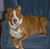 Doreen Gachowski's profile image