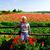 Beverly Schoppe Tanner's profile image