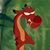 Ingrid Villers's profile image