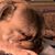 Antoinette Shangraw's profile image