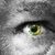 Perry Kinney's profile image