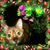 Suzi Tafoya's profile image