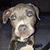 Kim Aud Brooks's profile image