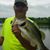 David Swiderski's profile image
