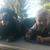 Keshia Furst's profile image