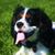 Rhonda Hodgson Fliss's profile image