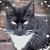 Vickie Ritter's profile image