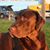 Laura Beckett's profile image