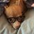 Jeannie McDonald Murphy's profile image