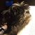 Tracie Nolan's profile image