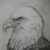 Chris Leyda's profile image