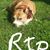 Tammy Gault's profile image