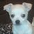 Ronna J Fisher's profile image