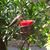 Linda Marek's profile image