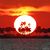Tom Childers's profile image