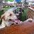 Robin Biegel's profile image