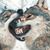 Natalie Renee's profile image