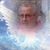 Susan Holden's profile image