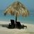 Connie Chandler-Fontaine's profile image