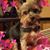 Marty Brockway Sparks's profile image