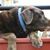 Mark Clements's profile image
