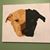 Dianne Taylor Chou's profile image