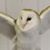 Karen Logullo Bader's profile image