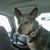 David J. Brown's profile image