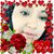 Marcia Rosales's profile image