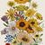 Sherri Lynn Brummerstedt Mefford's profile image