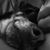 Cristina Martins's profile image