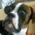 David Kidwell's profile image